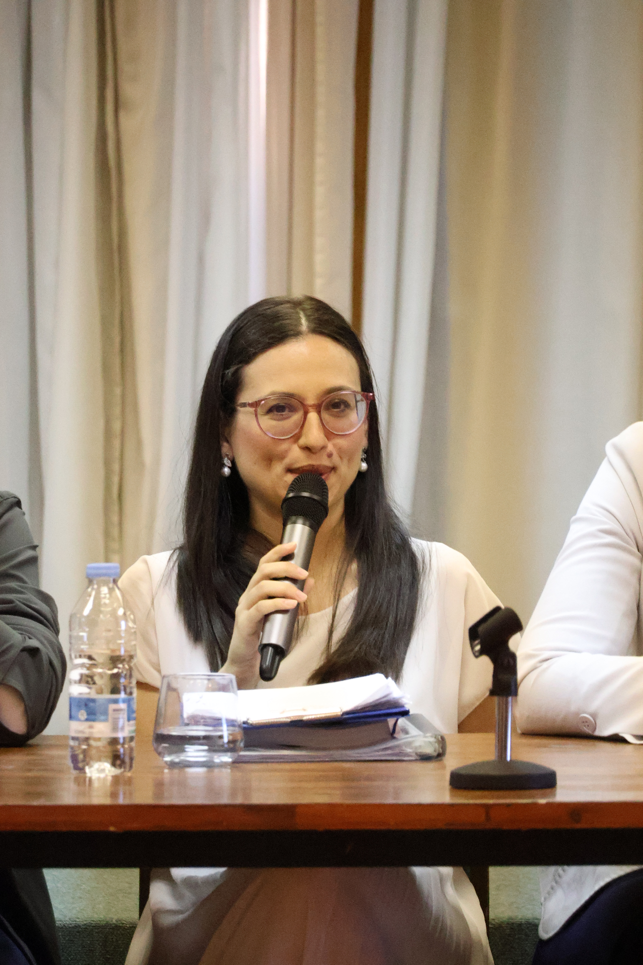 Speaker at panel event
