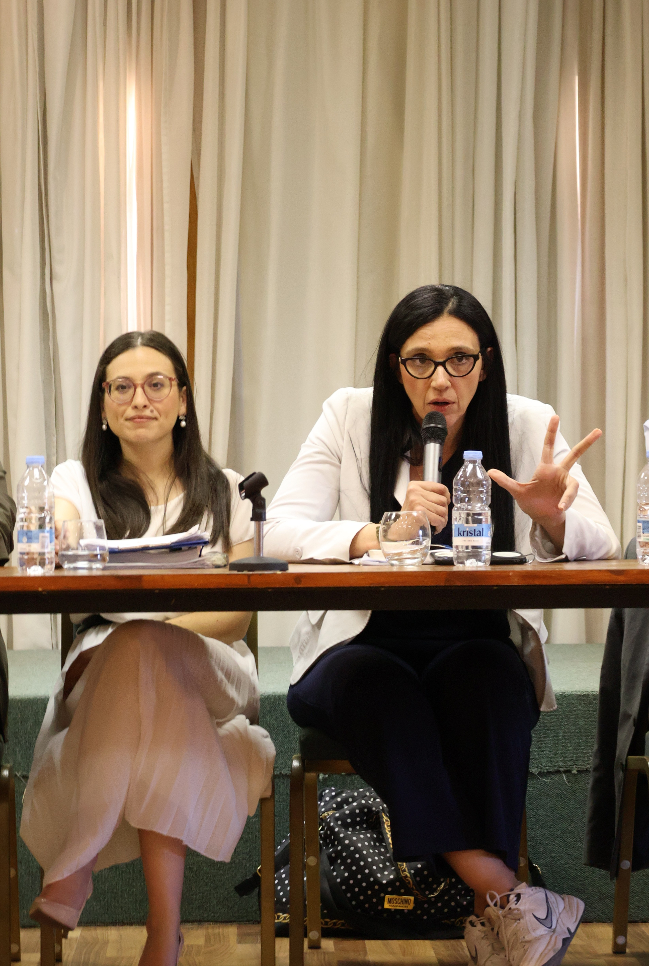 Speaker at panel event